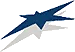 Neo Destiny symbol